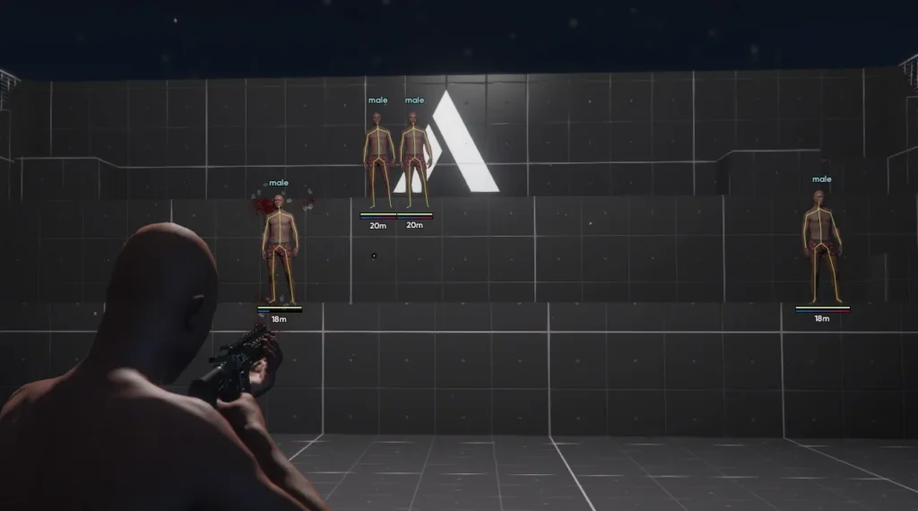 GTA cheats Wallhack
